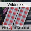 Wildsexx 19